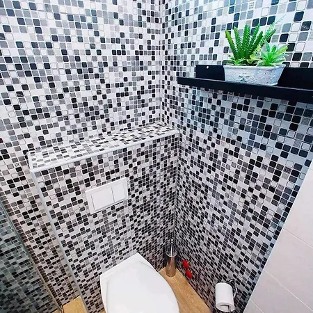 Apartment Aurora Studio
